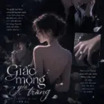 Giấc Mộng Gió Trăng