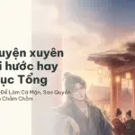 Top 5 truyện xuyên sách hài hước hay nhất ở Lục Tổng